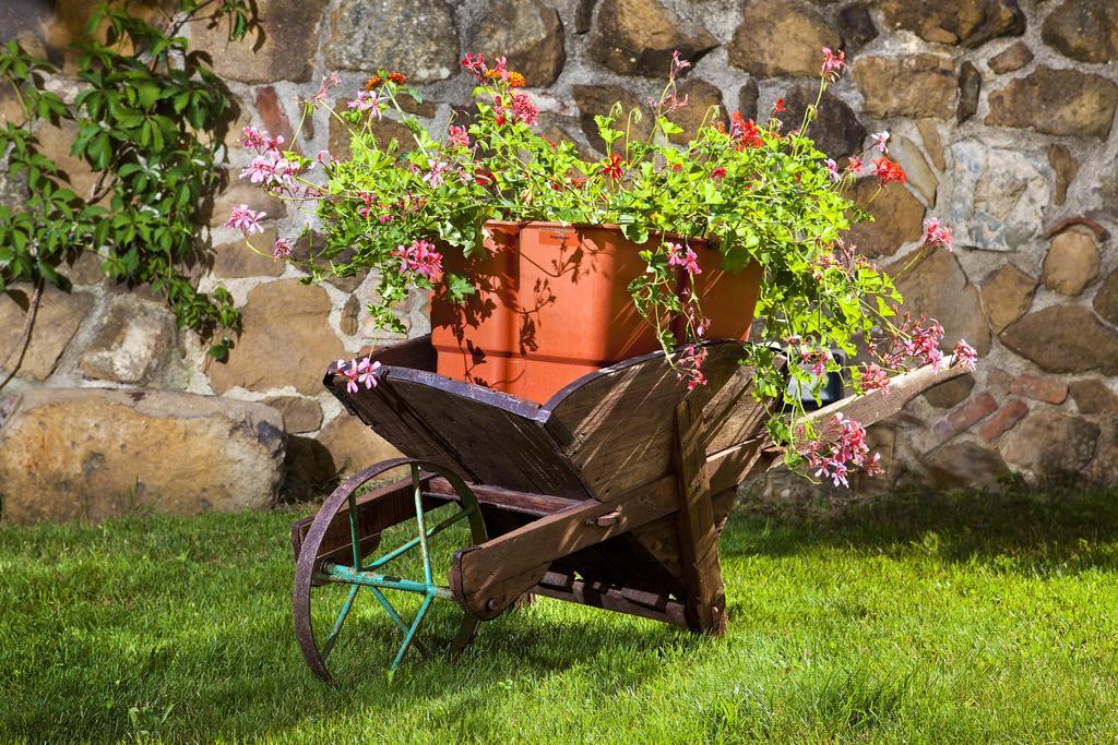 Villa Antico Borghetto Di Tigliano Вінчі Екстер'єр фото
